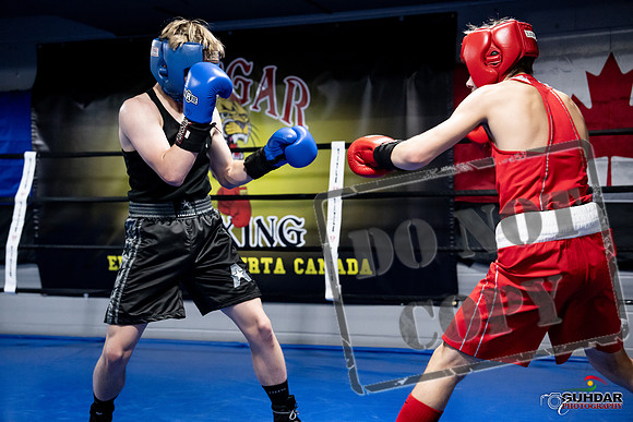 Cougar Boxing -0644
