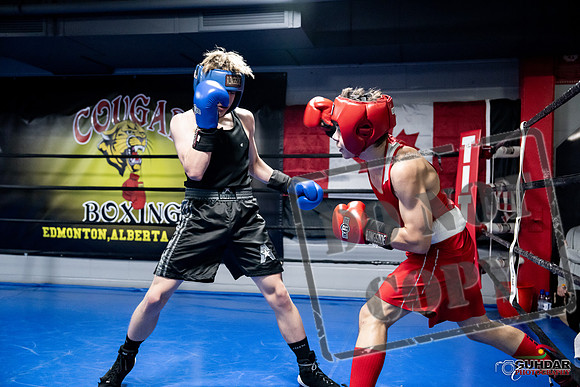 Cougar Boxing -0645