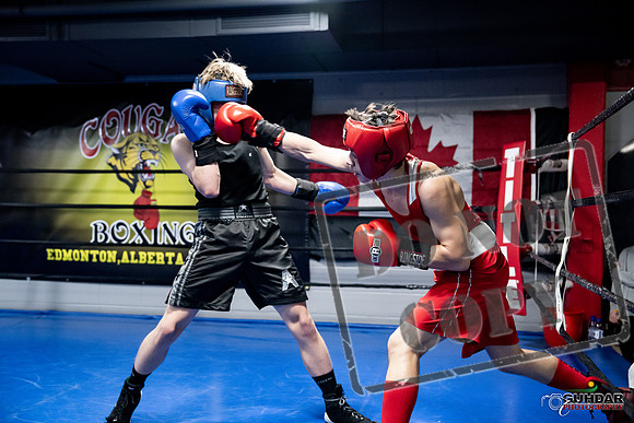 Cougar Boxing -0646