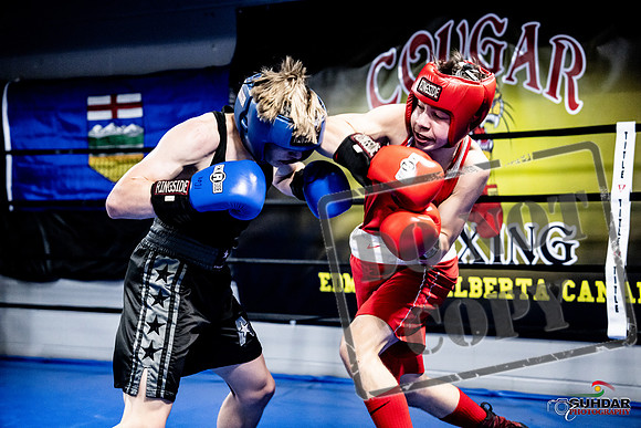 Cougar Boxing -0647