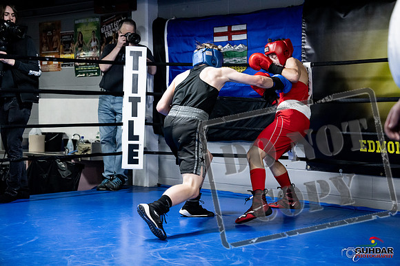 Cougar Boxing -0650