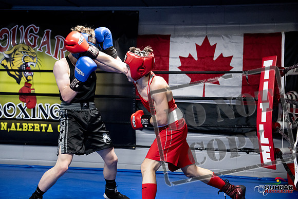 Cougar Boxing -0651