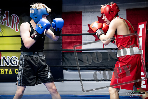 Cougar Boxing -0652