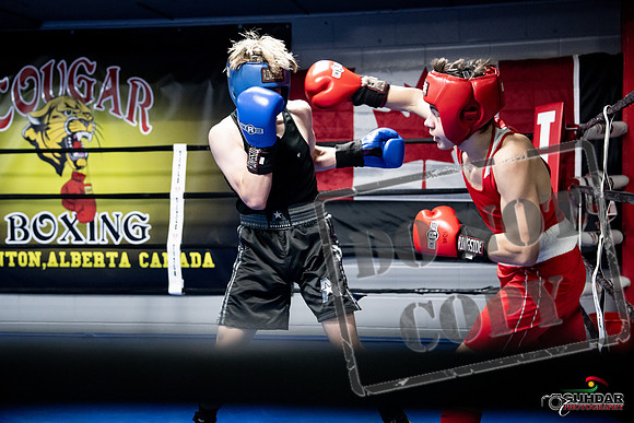 Cougar Boxing -0653