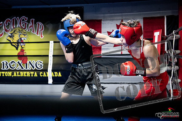 Cougar Boxing -0654