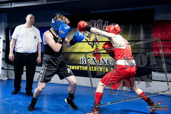 Cougar Boxing -0655
