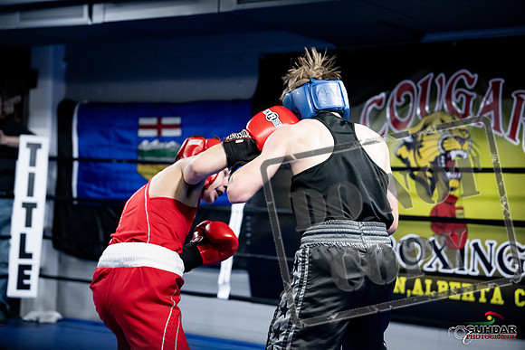 Cougar Boxing -0657