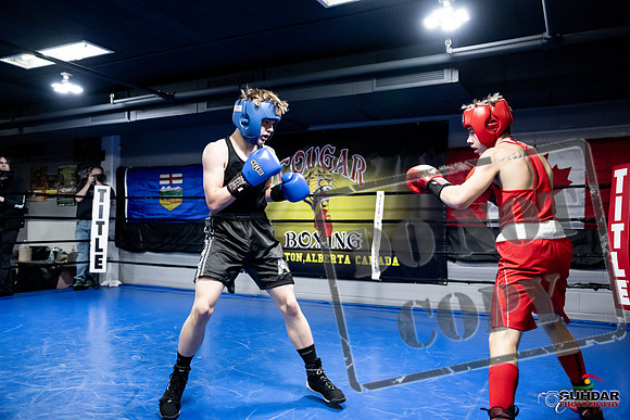 Cougar Boxing -0658