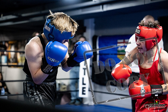 Cougar Boxing -0660