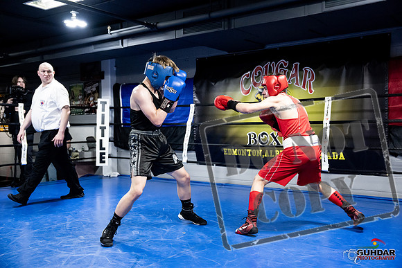Cougar Boxing -0661