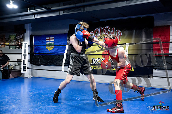 Cougar Boxing -0663