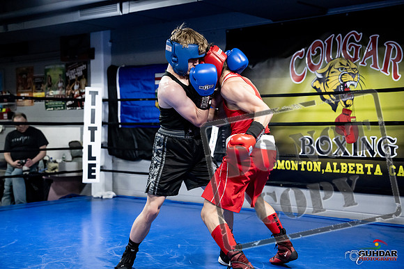 Cougar Boxing -0664