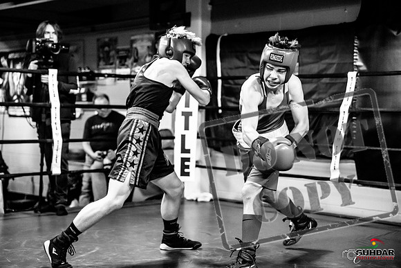 Cougar Boxing -0666