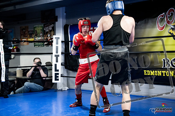 Cougar Boxing -0668