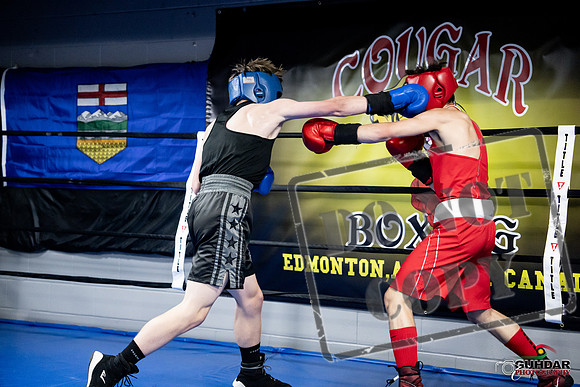 Cougar Boxing -0669