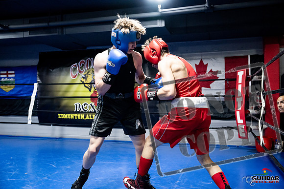 Cougar Boxing -0670
