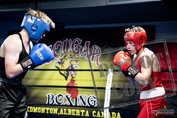 Cougar Boxing -0671