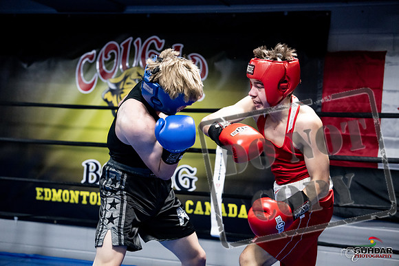 Cougar Boxing -0672
