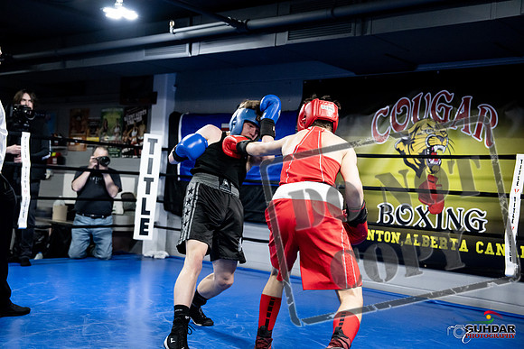 Cougar Boxing -0674