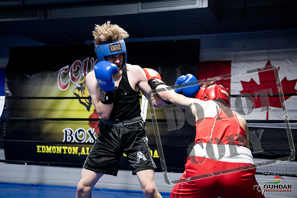 Cougar Boxing -0676