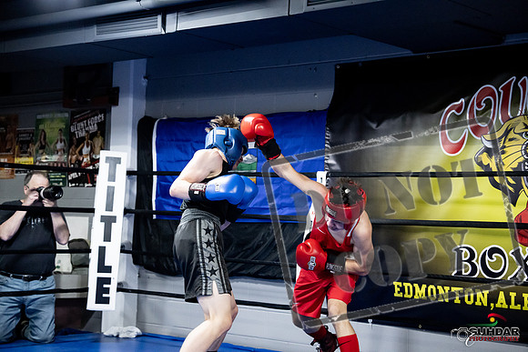 Cougar Boxing -0675