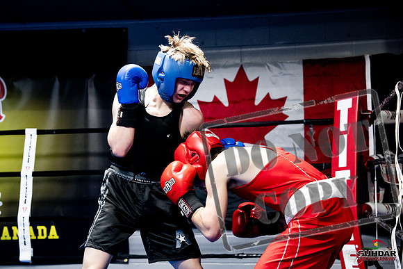 Cougar Boxing -0677