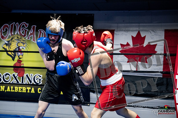Cougar Boxing -0678