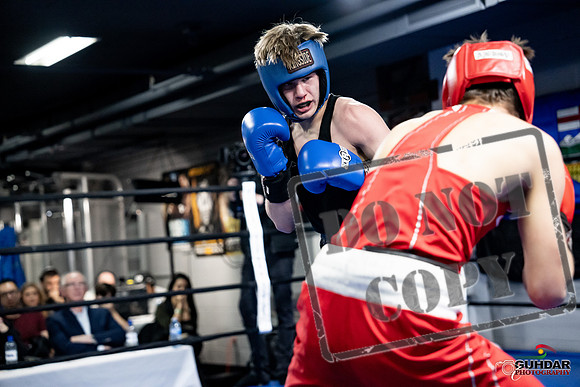 Cougar Boxing -0680