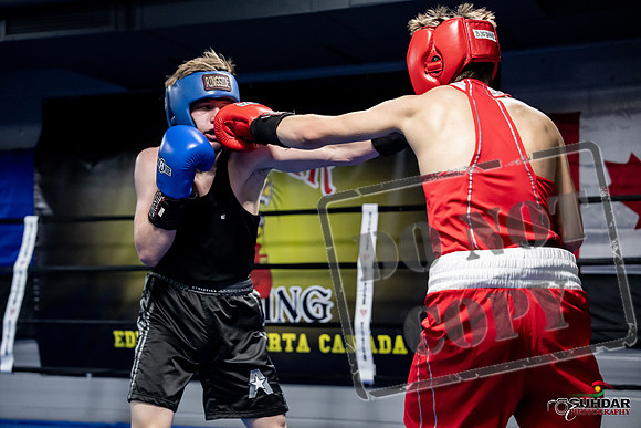 Cougar Boxing -0681
