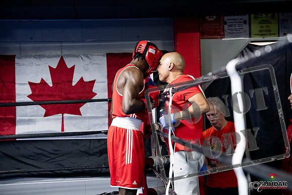 Cougar Boxing -0689