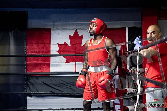 Cougar Boxing -0690