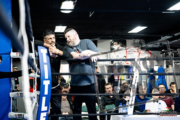 Cougar Boxing -0693