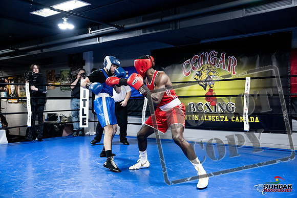 Cougar Boxing -0694