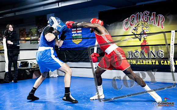 Cougar Boxing -0697