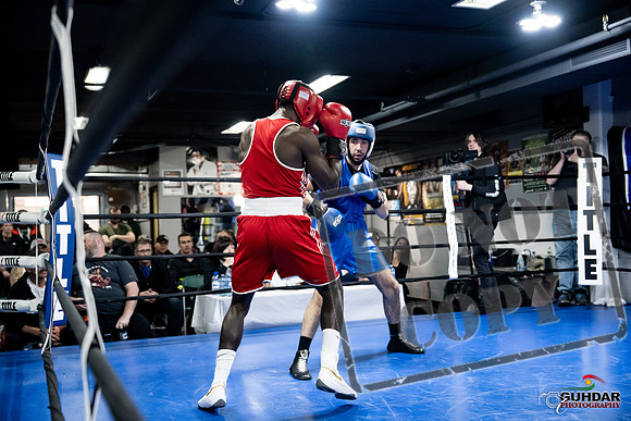 Cougar Boxing -0698