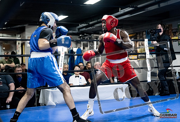Cougar Boxing -0699