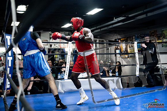 Cougar Boxing -0700