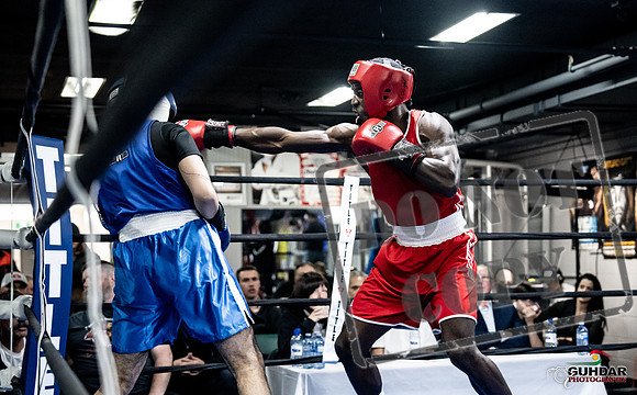 Cougar Boxing -0701