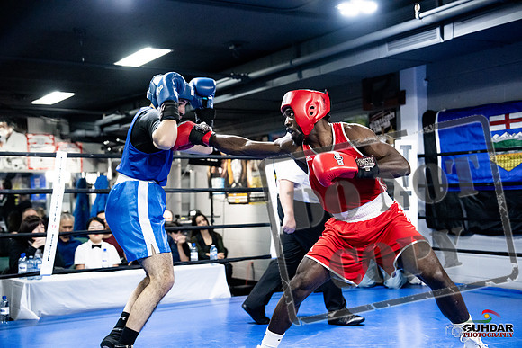 Cougar Boxing -0703