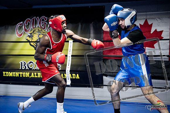 Cougar Boxing -0704