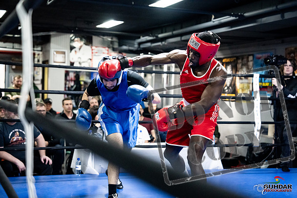 Cougar Boxing -0705