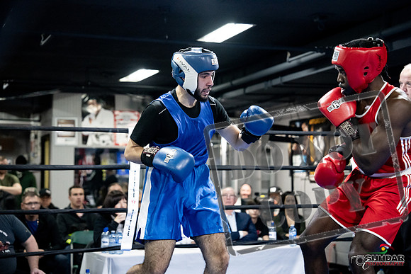 Cougar Boxing -0706