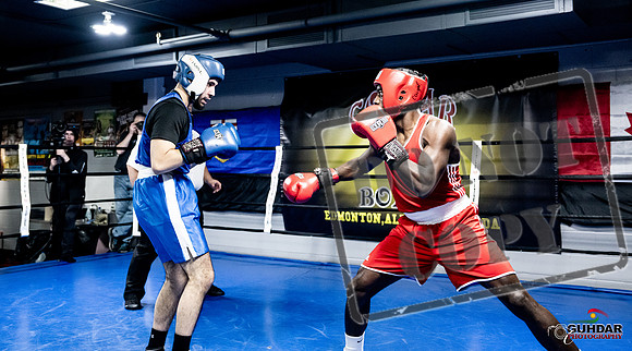 Cougar Boxing -0708