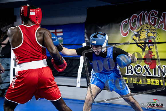 Cougar Boxing -0709