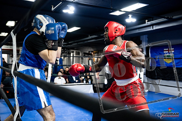Cougar Boxing -0712