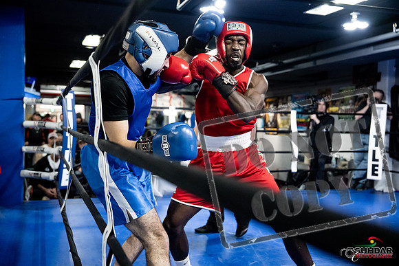 Cougar Boxing -0713