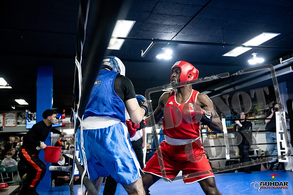 Cougar Boxing -0714