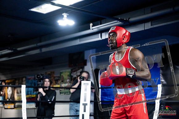 Cougar Boxing -0716