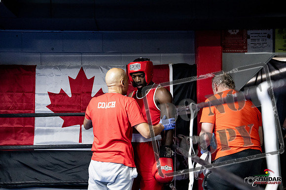 Cougar Boxing -0717