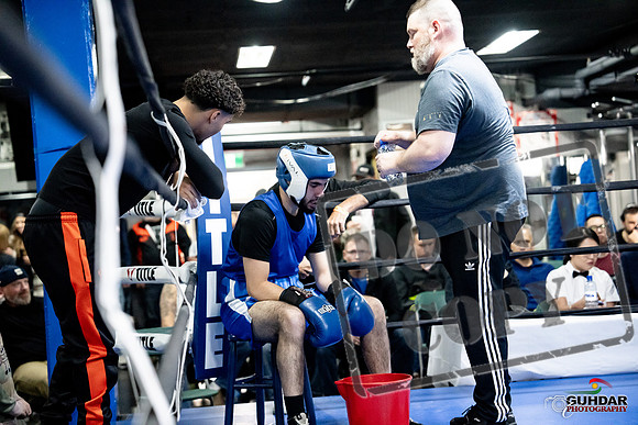 Cougar Boxing -0718